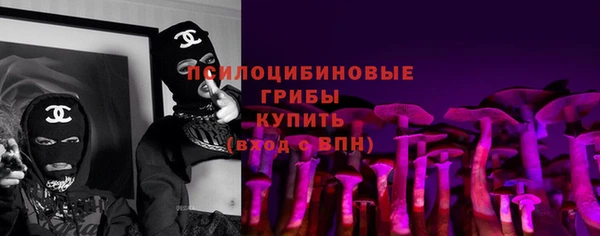 ПСИЛОЦИБИНОВЫЕ ГРИБЫ Богородицк