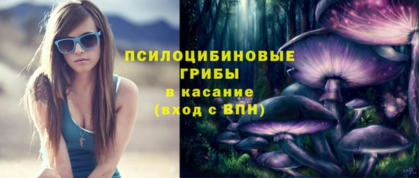 мескалин Богданович