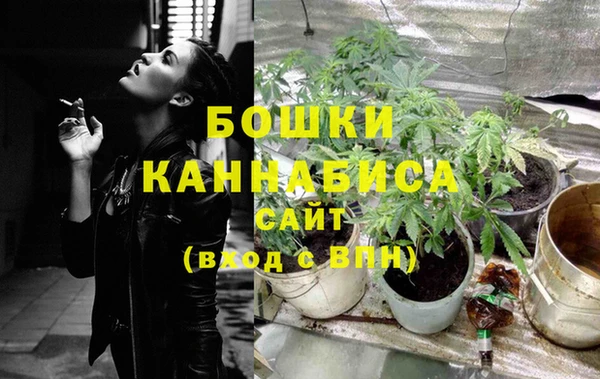 мескалин Богданович