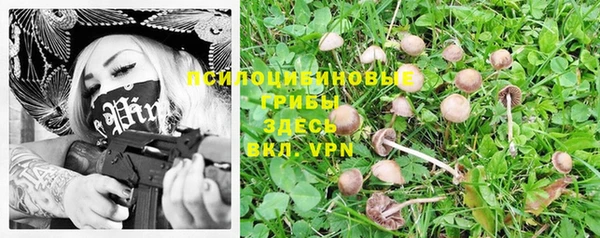ПСИЛОЦИБИНОВЫЕ ГРИБЫ Богородицк