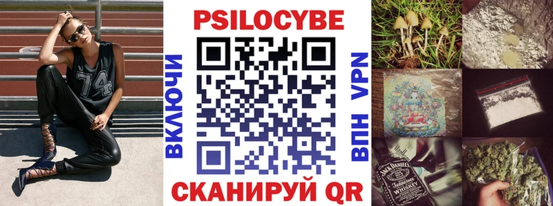 купить закладку  Нестеровская  Галлюциногенные грибы Psilocybe 